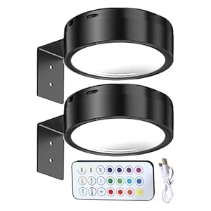 Zuasdvnk Bildleuchte Magnet Fernbedienung Drei Farben