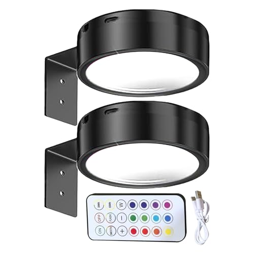 Generisch Dimmbare LED Bildleuchte mit Fernbedienung