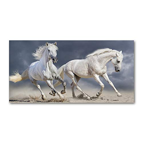 Fond de hotte Tulup haut de gamme en verre de sécurité trempé 140x70cm blanc