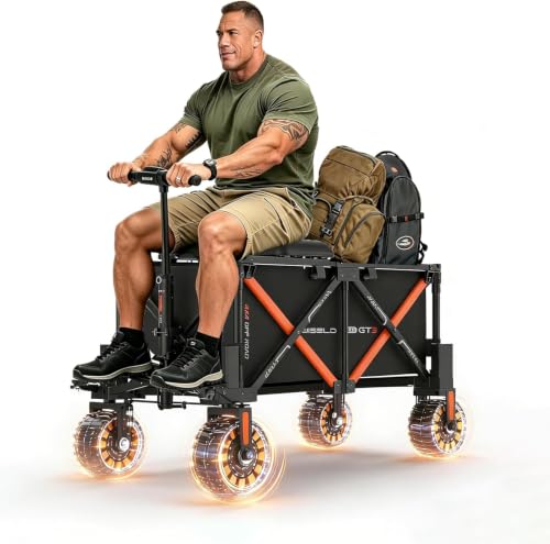 WISELD GT3-4WD Rideable Electric Cart