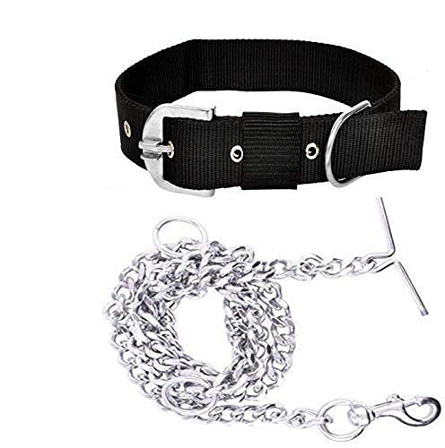 Pups&Pets Dog Belt Combo of 1 inch Nylon Collar with Heavy Dog Chain 1.5m Lengthy Dog Collar Chain,(Black) (B09TSMKZNY) Amazon Price History, Amazon Price Tracker