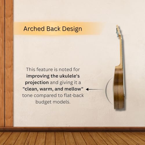 Image of Vault UK 100C 24 inch Arched Back Concert Ukulele With Gig-Bag - Natural