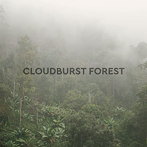 Cloudburst Forest