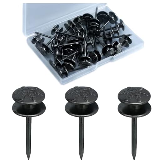Thumb Tacks for Wall Hanging,Double Headed Picture Hangers Nails for Drywall,Push Pins Picture Photo Hanging for Home Office Hanging,Picture Photo Decorations (Black 20 Pcs)