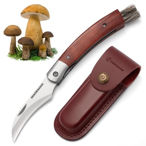 DRACHENADER N-1 Navaja para setas, Navaja para setas con cepillo (integrado), Liner Lock, Vaina de cuero, Navaja para setas con mango de madera y cepillo para setas