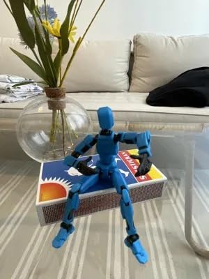 Beoals Robot Assemble,Lucky Robot 13 Action Figure, Creative 3D Printed Action Figure, Multi Jointed Action Figures Desktop Decorations for Kids Adult (Pack of-1) (Blue) 2