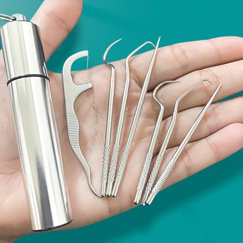 Portable Reusable Stainless Steel Toothpicks Pocket Set with Holder - Ideal for Outdoor Picnic, Camping & Traveling,Silver