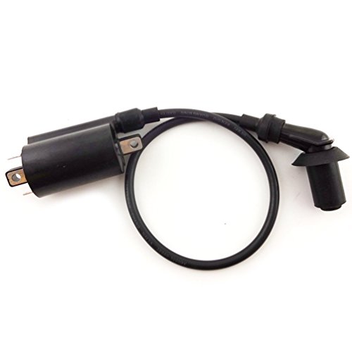 Lumix GC Ignition Coil For BMX KINDOM JCL Taotao 260cc 300cc 400cc Atv Quad UTV