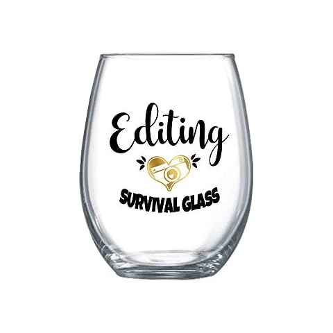 Zoey Christina Funny Photography Gifts for Women Editor Gifts for Her Photographer Accessories Stemless Wine Glass 0324 Cover