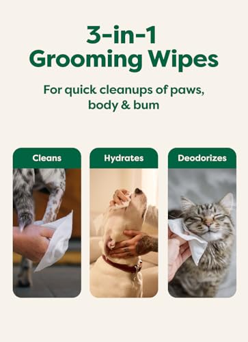 Earth Rated Pet Wipes for Dogs and Cats, Hypoallergenic, 3-in-1 Cleaning, Deodorizing and Hydrating, for Grooming Paws, Body and Bums, New White Tea and Basil Scent, 100 Count - Image 5