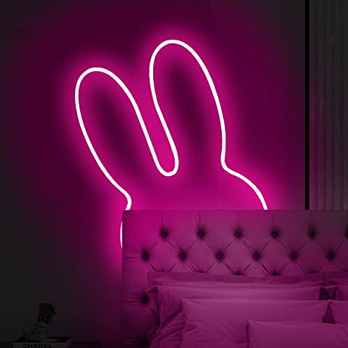 Hotran Neon Led Strip Light, 16.4Ft Pink 12V Neon Rope Light, Waterproof Flex Cuttable Silicone Strip Light For Indoor Outdoor Decoration (Power Adapter No Included) #TOP4