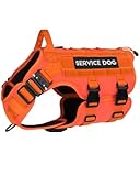 PETNANNY Tactical Service Dog Vest - No-Pull Emotional Support Harness with Hook & Loop Patches & Molle System for Training & Hunting (Orange, Large)