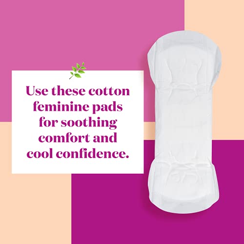 The Honey Pot Company Clean Cotton Regular Absorbency Pads (20 Count), Herbal-Infused Pads With Wings, Plant-Derived Feminine & Menstrual Care #TOP2