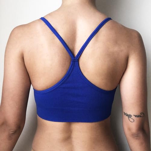 Kit 3 Sutiã Top Nadador Poliamida Bojo Removível Confortável (BR, Alfa, M, Regular, PRETO/BRANCO/CIN