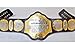 TNA Wrestling Heavyweight Championship Belt, Adult Size Replica, Black and Gold Premium Title Belt with 2MM Brass Plates for Display, Collectors and Cosplay