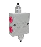 Hydraulik Schockventil doppeltwirkend VAU 1/2 | 70l/min | 50-250bar