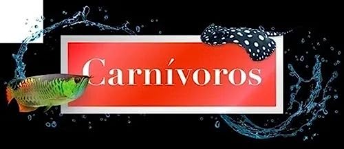 POYTARA - Ração Carnívoros de Superfície 800g (Bag)