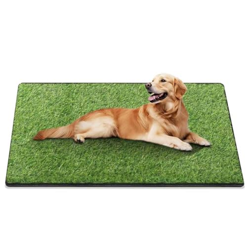 aHeemo 31x51 Inch Pet Training Mat