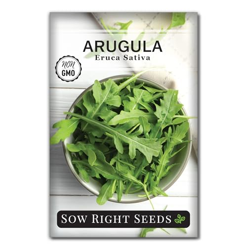 Sow Right Seeds - Arugula Seeds for Planting - Non-GMO Heirloom Seeds with Instructions to Plant a Home Vegetable Garden - Indoors Hydroponics or Outdoors - Salad Greens - Grow Kitchen Herbs (1)