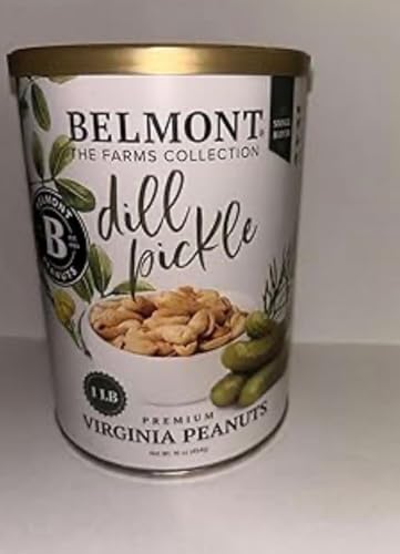 Dill Pickle Seasoned Virginia-Style Peanuts – 16 oz Crunchy Roasted