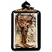 Thai Amulet 2in1 Cobra Snake Boa Spurs Gambling Money Wealth Fortune Charm Talisman Powerful Success Rich Gambling Superb