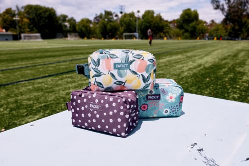 Image of PackIt Freezable Small Insulated Snack Box, Citrus Orchard, with EcoFreeze Technology (Built-in Ice Pack), Mini Cooler or Small Lunch Bag, For Fresh Snacks On the Go, for Work, Gym, or Travel