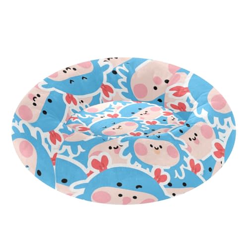Lit chaud doux pour chien taille moyenne crabe bleu M