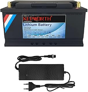 12V 100Ah LifePo4 Battery Deep Cycles with Perfect 100A BMS Lithium Iron Phosphate Battery for Trolling Motor Solar Panels RV Boat Golf Cart Off Grid Applications Household Appliances Include Charger