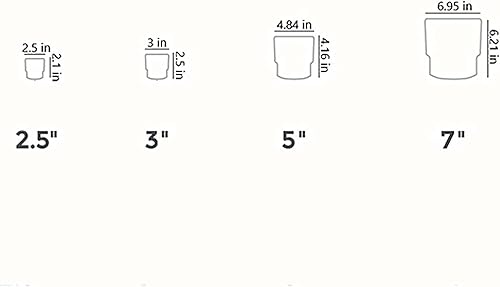 Miniatura 6 de The HC Companies Maceta Sprite para suculentas de 2.5 pulgadas, maceta pequeña de plástico con drenaje para plantas de interior, color rubor
