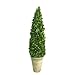 Mills Floral Boxwood Cone Topiary in Pot II