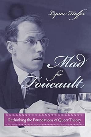 Mad for Foucault: Rethinking the Foundations of Queer Theory book cover