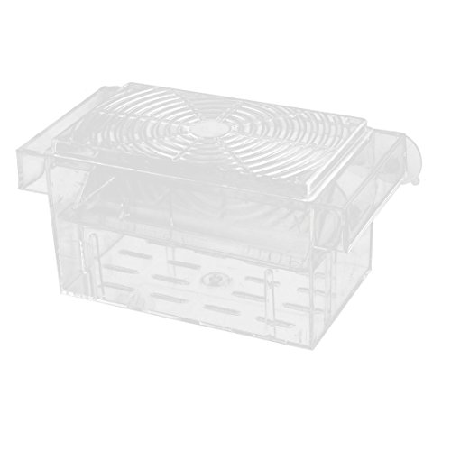 Ruilogod Poisson en plastique Aquarium Poisson Spawn Catchery Crevethery Boîte de reproduction Boîte CLEAR Cover