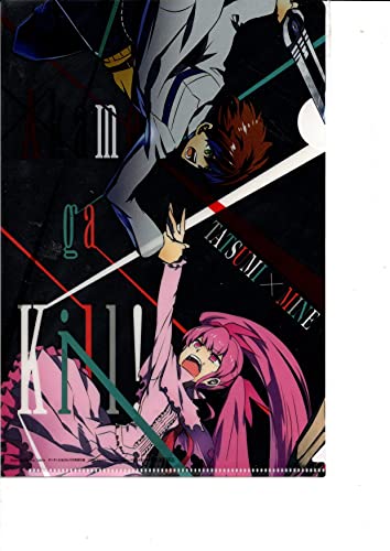 クリアファイル アカメが斬る! クリアファイル アカメが斬る!