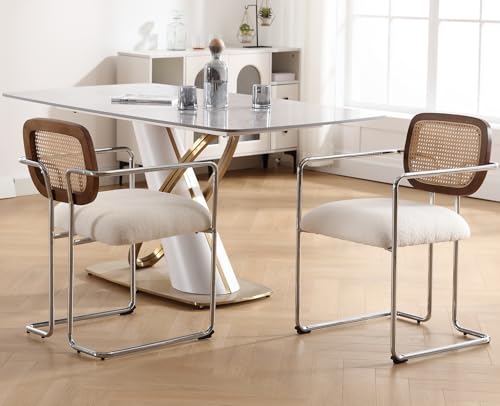DAYALANE Esszimmerstühle 2er Set, Retro Küchenstühle mit Rattan...