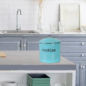 Home Basics Vintage Farmhouse Round Cookie Tin Turquoise Metal Storage Container with Handle and Silver Accents for Kitchen Counter - Ideal for Cookies, Brownies, and Biscotti Home Basics Vintage Farmhouse Round Cookie Tin Turquoise Metal Storage Container with Handle and Silver Accents for Kitchen Counter Ideal for Cookies Brownies and Biscotti