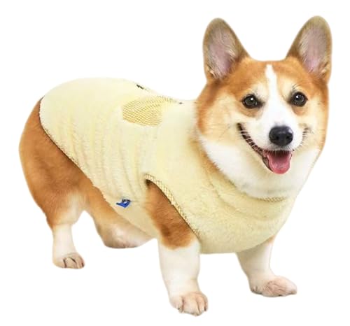 t[X̖hhbOEFA ? nfUCŉybgH~pAwJDJtA^^ptVcybgEFA (2XL,CG[̃`FbN)