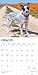 Australian Cattle Dogs | 2026 12 x 24 Inch (Hanging) Monthly Square Wall Calendar | Plastic-Free | BrownTrout | Animals Dog Breeds