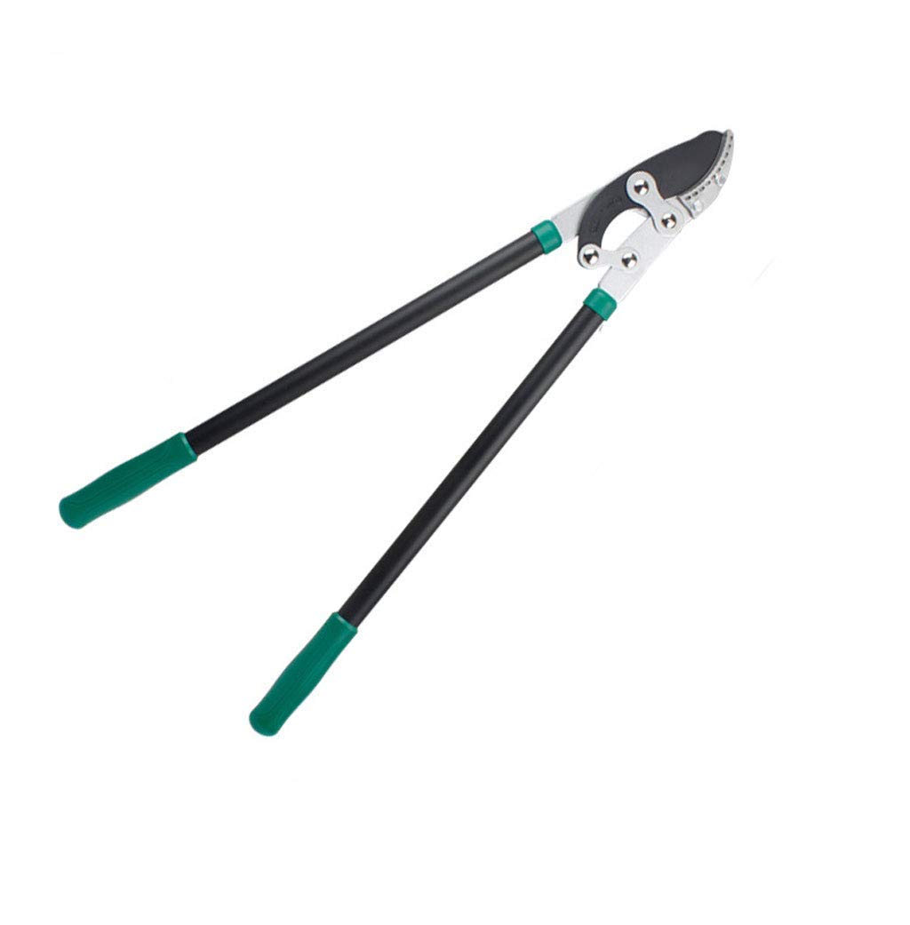 Forbici da potatura, cesoie manuali, cesoie per Rami da Giardino, cesoie Spesse retrattili, cesoie per potatura Alberi da frutto
