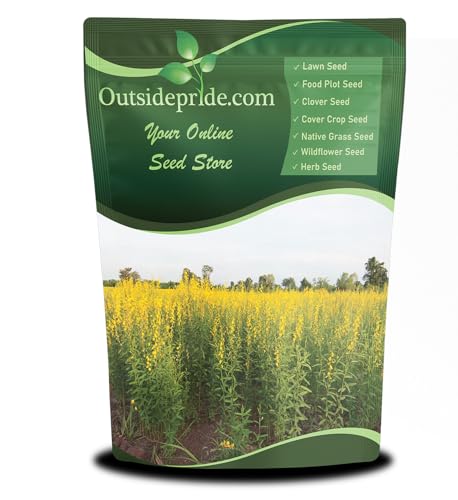 Outsidepride Sunn Hemp Seeds - 50 lbs Annual Legume, High Biomass Production Non-Wood Fiber Cover Crop, Ideal for Forage Production, Garden & Farm Use, Soil Improvement, & Erosion Control