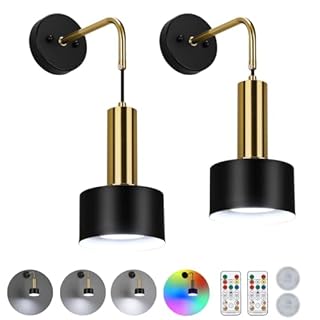 Lightsjoy 2 Pack Battery Operated Wall Lights Rechargeable Wall Sconces Battery Powered Dimmable Wall Light RGB 18 Colors Timing Battery USB Wall Lamp with Remote Control for Bedroom Living Room-Black