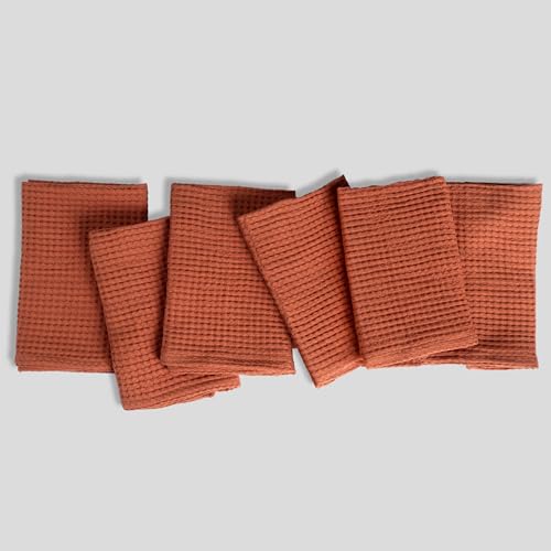 Image of FINGERCRAFT Kitchen Cloth 100% Soft High GSM Cotton Fabric Kitchen Towel, 20 x 30 Inches Perfect Size for Kitchen Uses, Set of 6, Multipurpose Use as Dish Towel, Bar Towel (Terracotta)