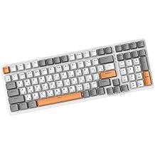 predolo Russian Mechanical Gaming Keyboard 100 Keys, Ergonomics,RGB, Backlit, USB Wired Plug and Play Durable Portable 98% Allocation for PC Laptop, Style E