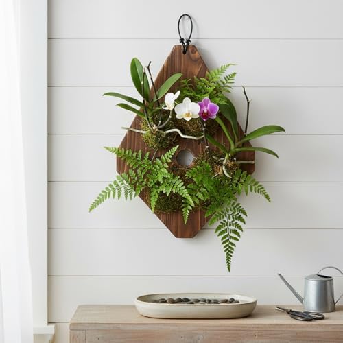 Staghorn Fern Mounting Kit Wall Hanging Planter Board Wood Plant Holder for Vertical Plants, Platycerium, Orchids and Succulents