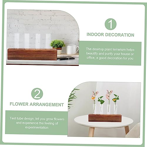 Jarrón hidropónico de vidrio Mobestech para plantas sin ensuciar la mesa 5