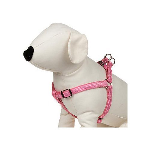 Does Petco Allow Dogs Inside