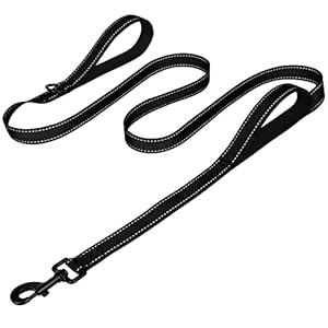 Joytale Dog Leash Heavy Duty for Large Dogs That Pull, Double Handle for Traffic Control, Double-Sided Reflective Leashes for Large Medium Dogs Night Safety, 6FT, Black