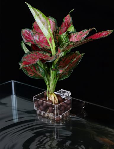 Image of 2 Pack Clear Aquarium Plant Holder Top Hanging Fish Tank Plant Holders Fits up to 0.8in Tank Edges, Aquarium Decor