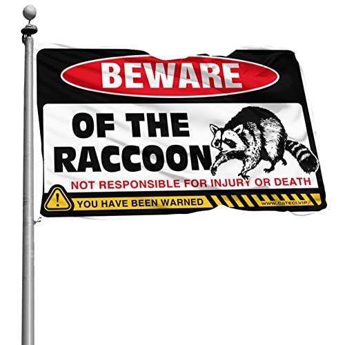 ティーンの女の子の部屋のためのかわいいフラグアライグマフラグマのフラグティーンボーイルームの装飾大学のフラグ(サイズ:60X90CM)