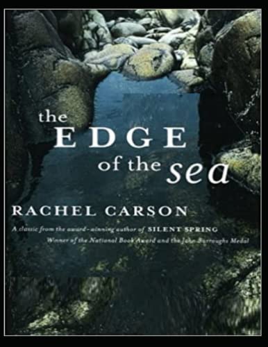 The Edge of the Sea