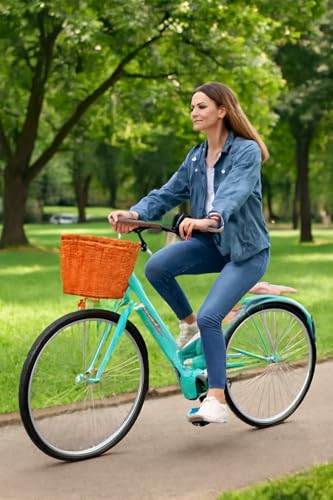 Listado de Bicicleta vintage favoritos de las personas. 17 Imagen adicional